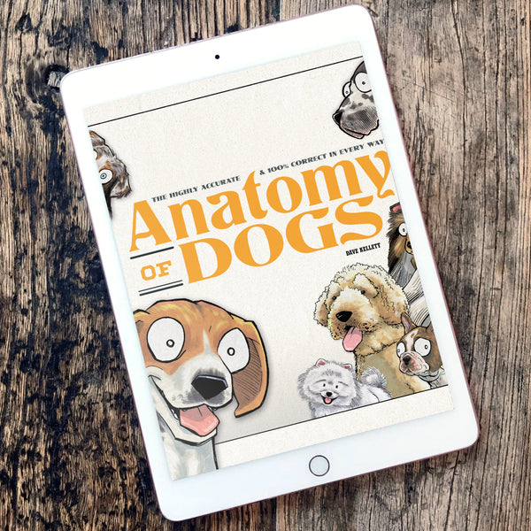Anatomy of Dogs eBook