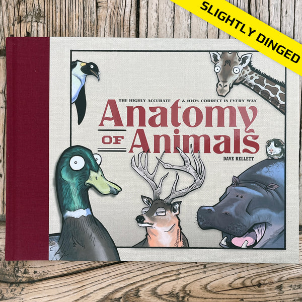 SLIGHTLY DINGED Anatomy of Animals