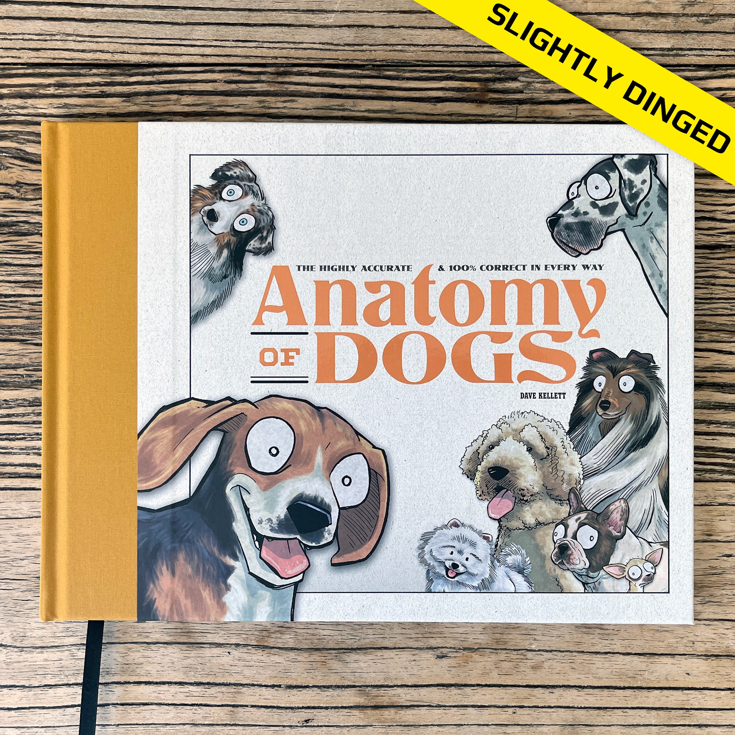 SLIGHTLY DINGED Anatomy of Dogs