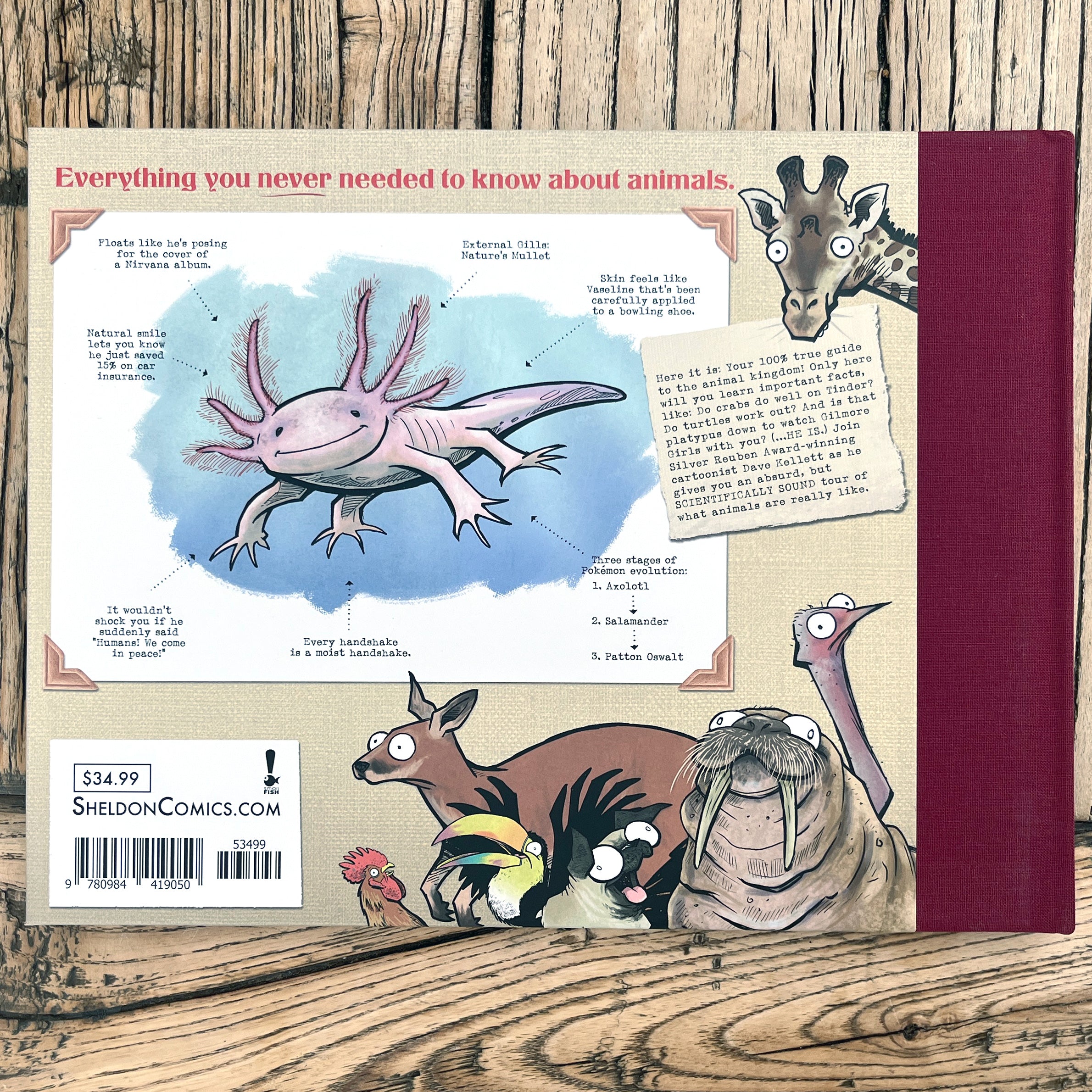 BACK IN STOCK! Anatomy of Animals