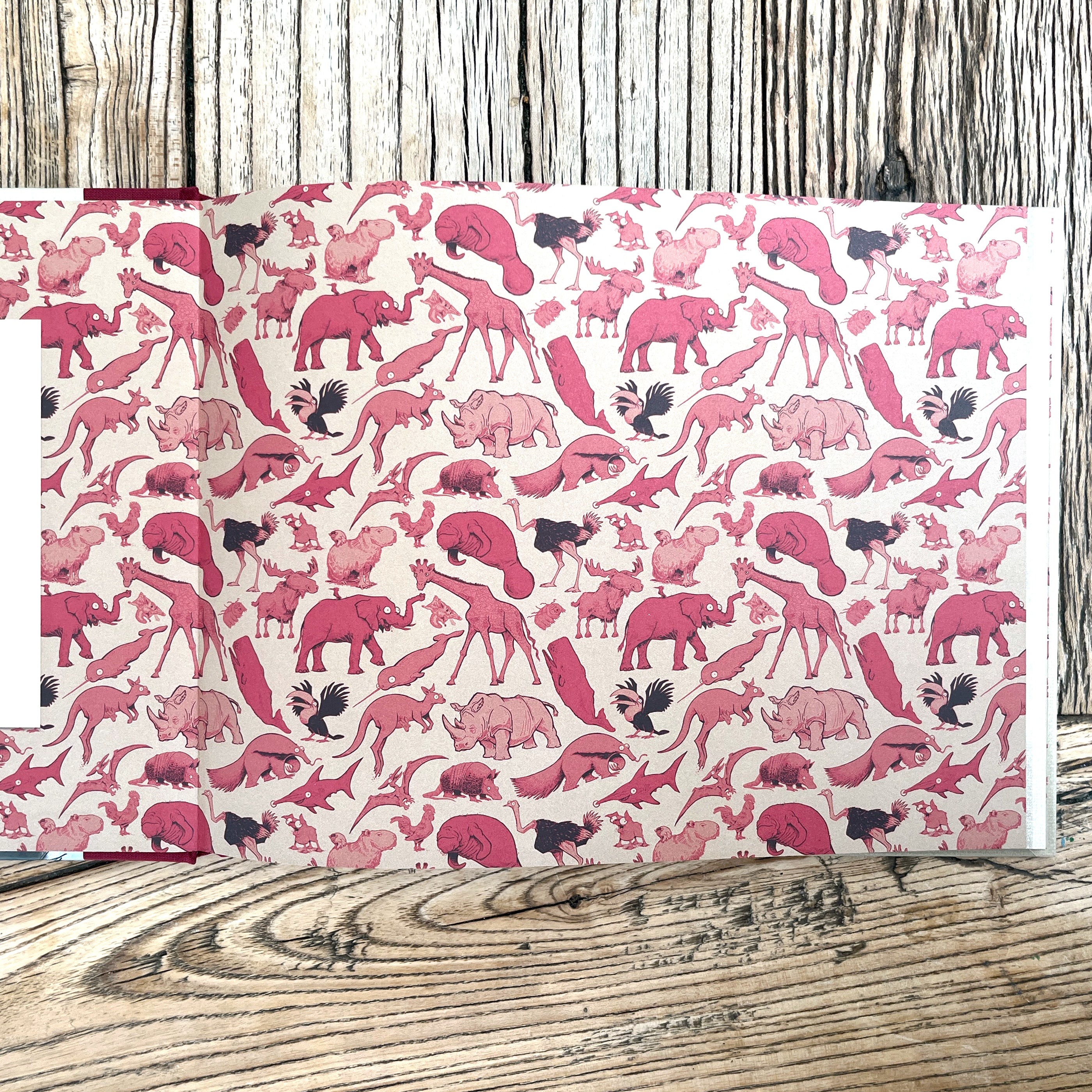 BACK IN STOCK! Anatomy of Animals