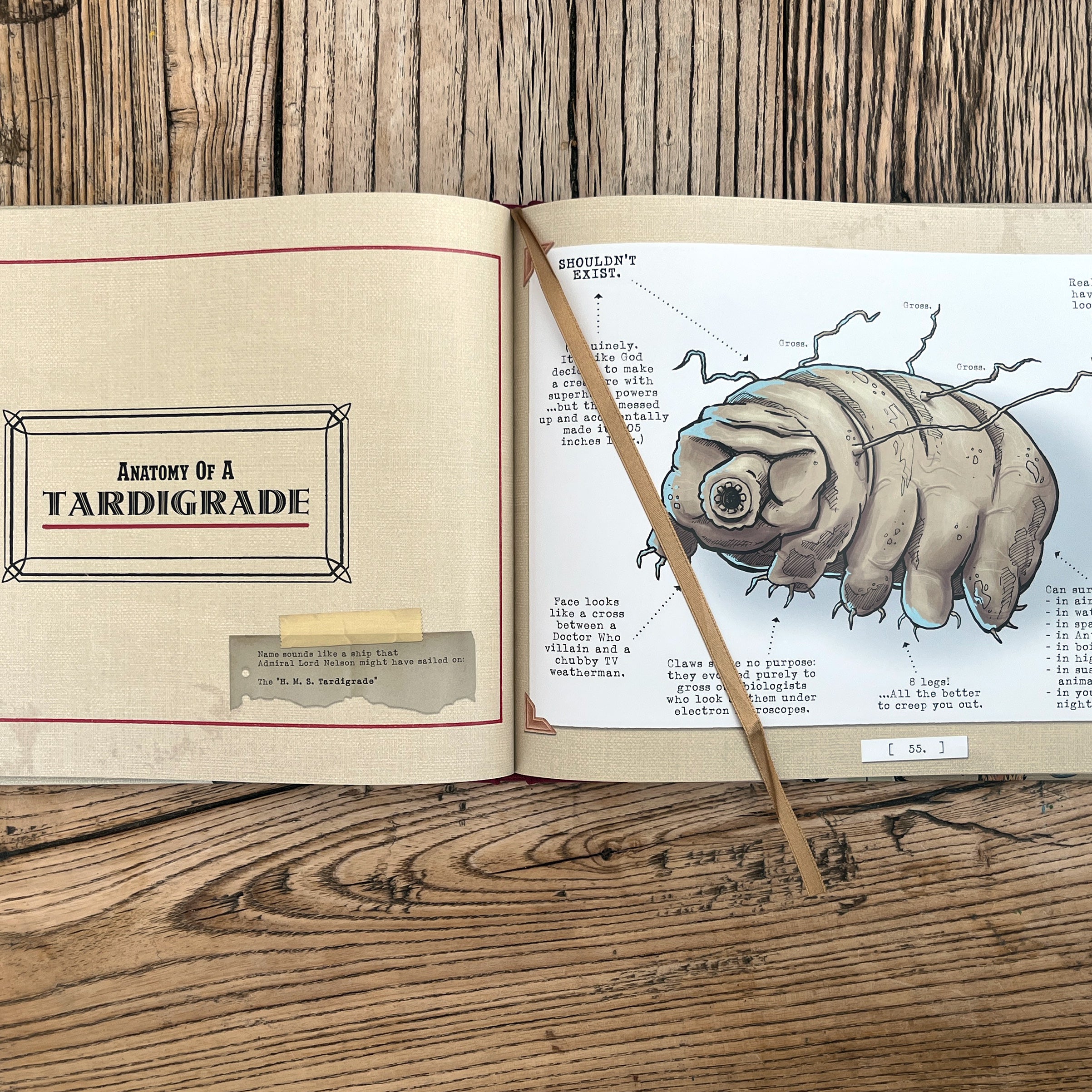 BACK IN STOCK! Anatomy of Animals