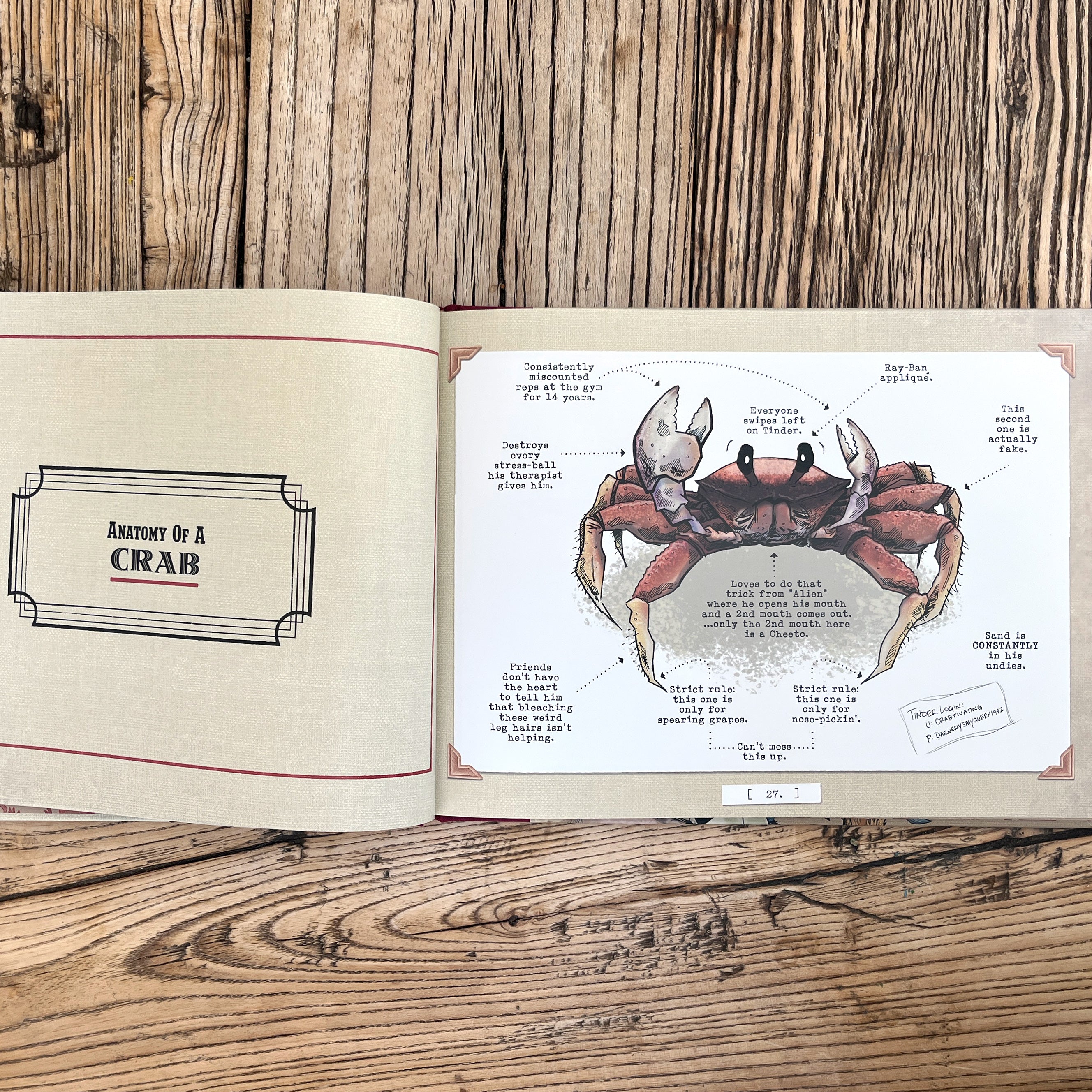 BACK IN STOCK! Anatomy of Animals