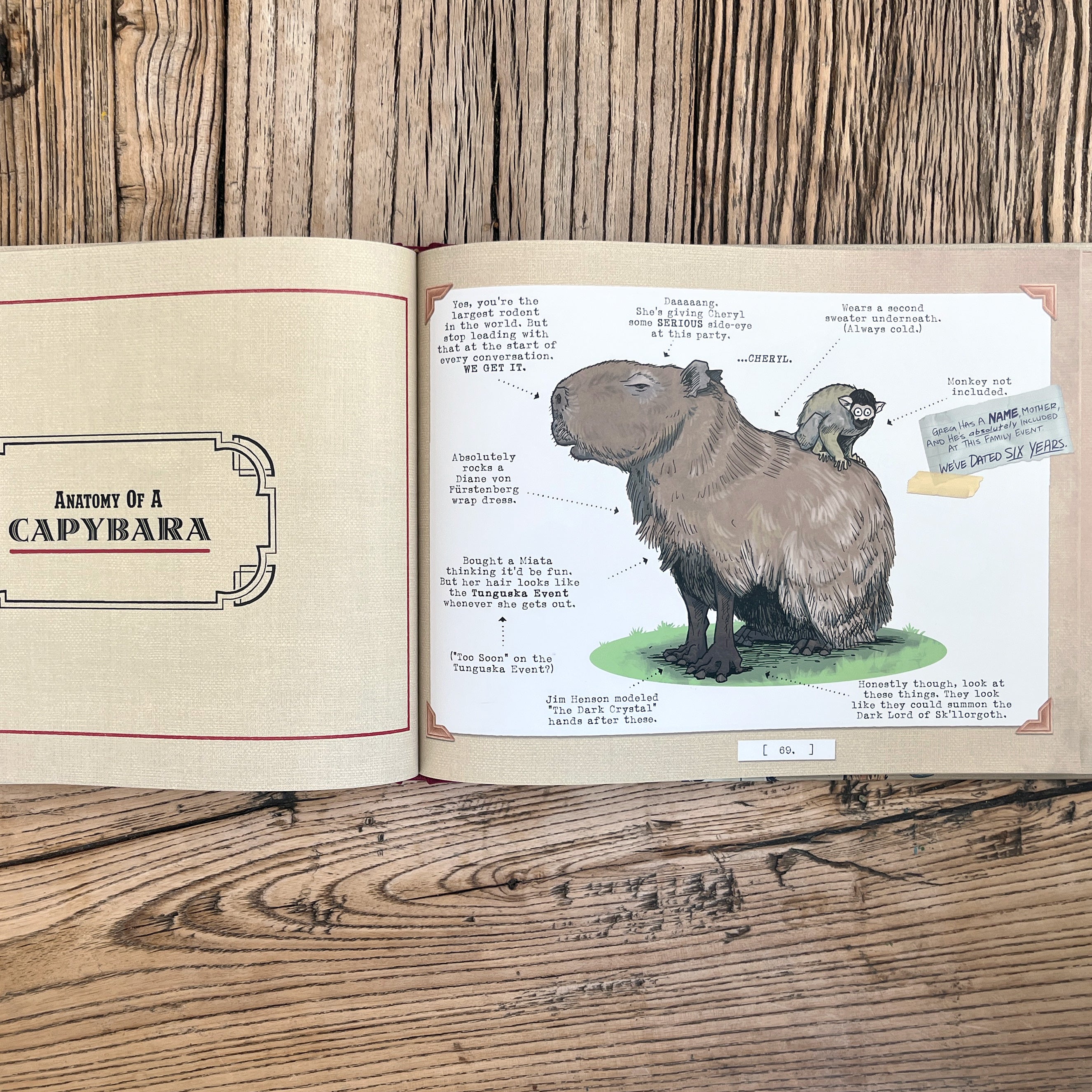 BACK IN STOCK! Anatomy of Animals