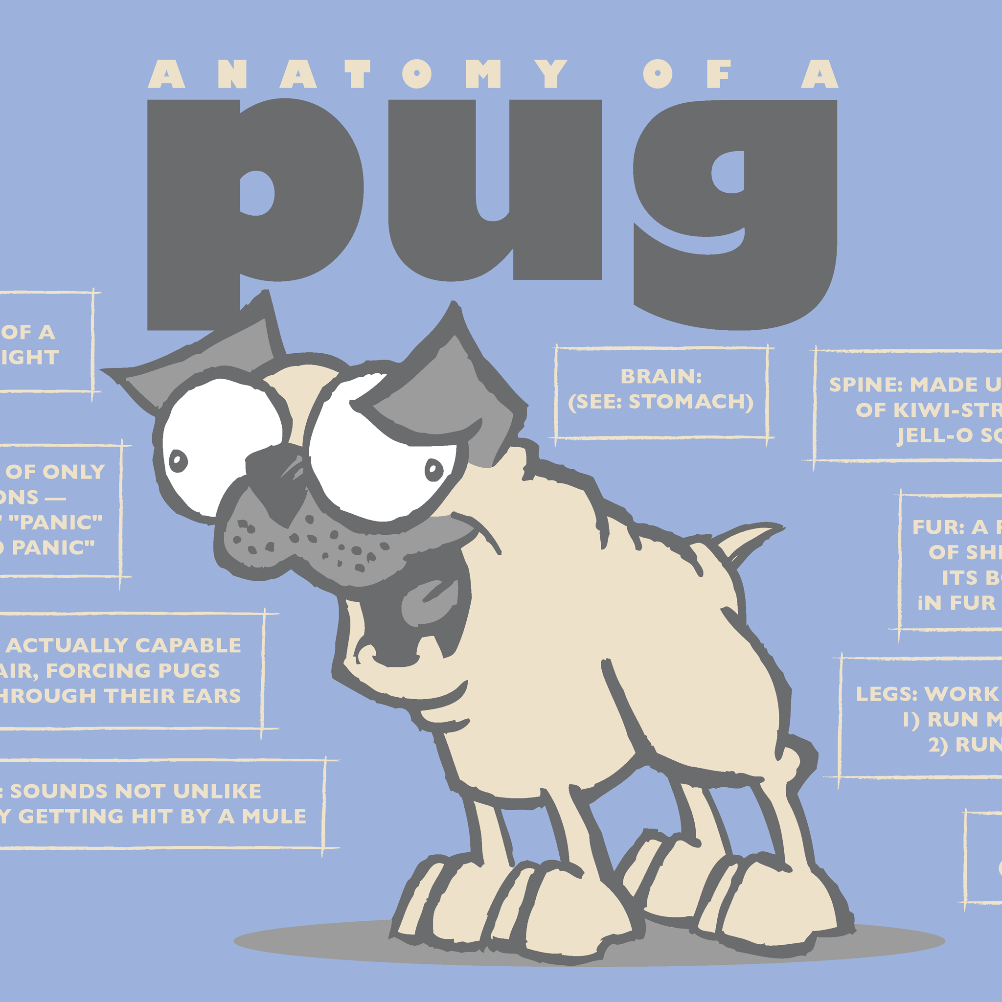 Print: Anatomy of a Pug