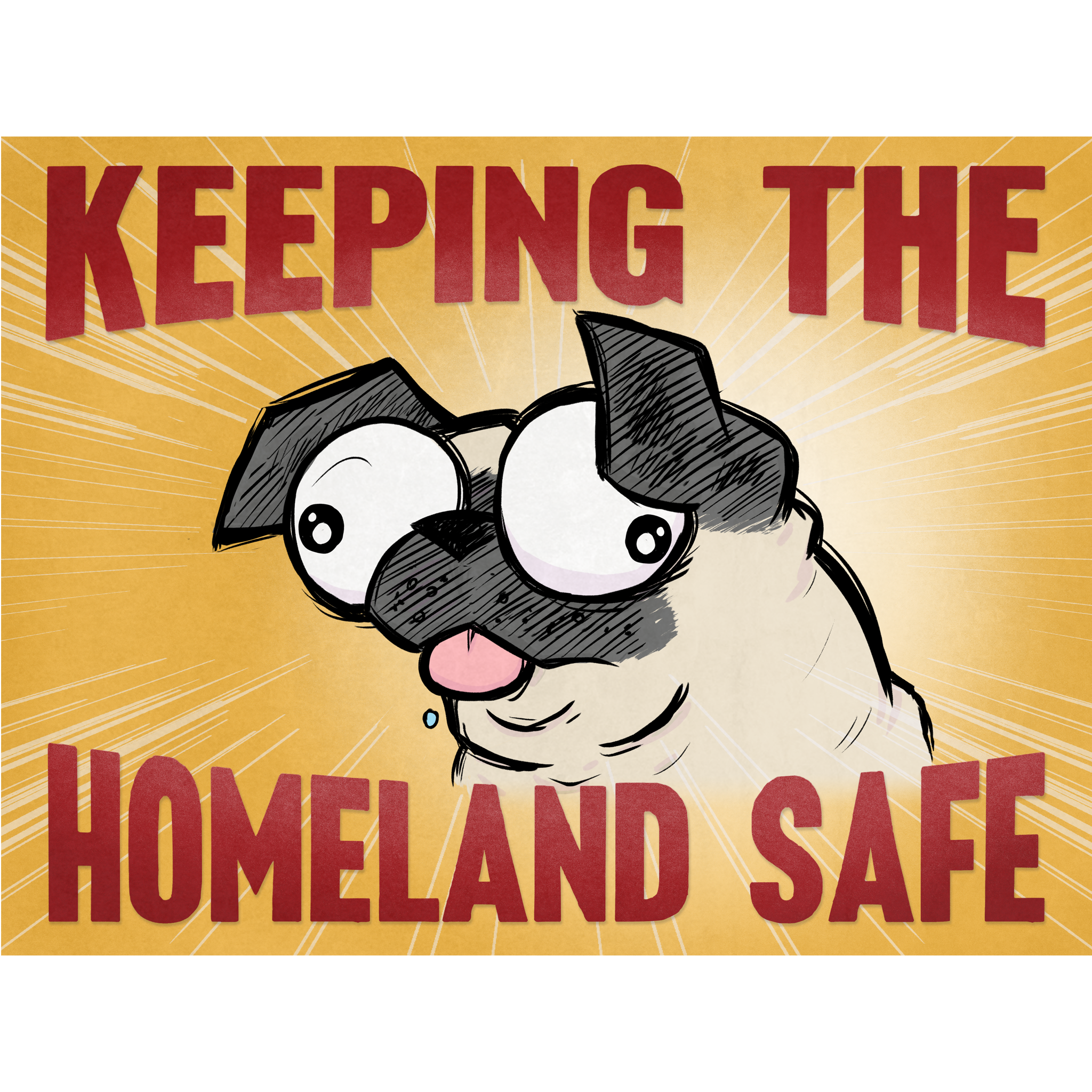 Print: Keeping the Homeland Safe!