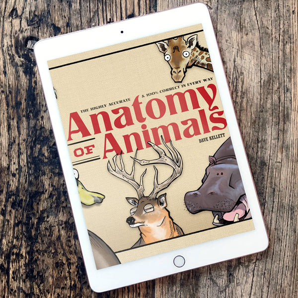 Anatomy of Animals eBook